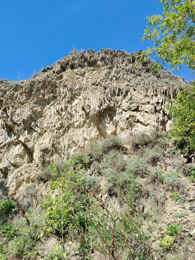    Фотография группы ВКонтакте ТЕРРИТОРИЯ СИБИРИ: экскурсии и путешествия