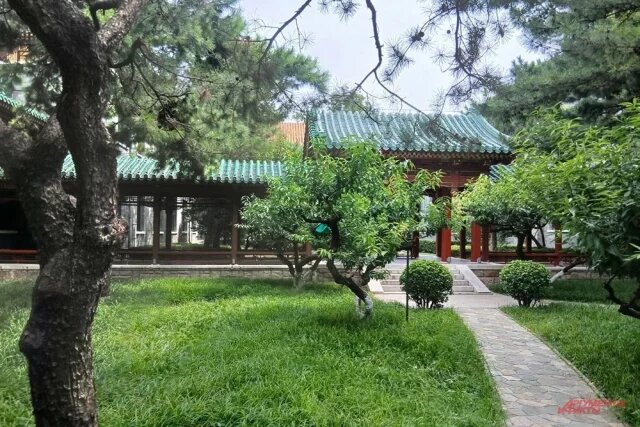    Какие документы могут проверить на границе с Китаем после отмены виз?