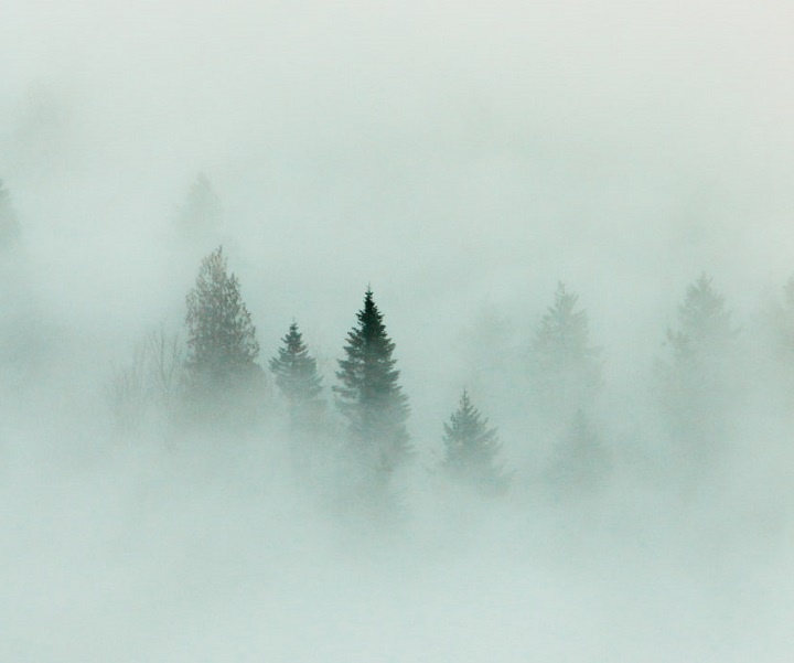    Фото: wirestock/Freepik