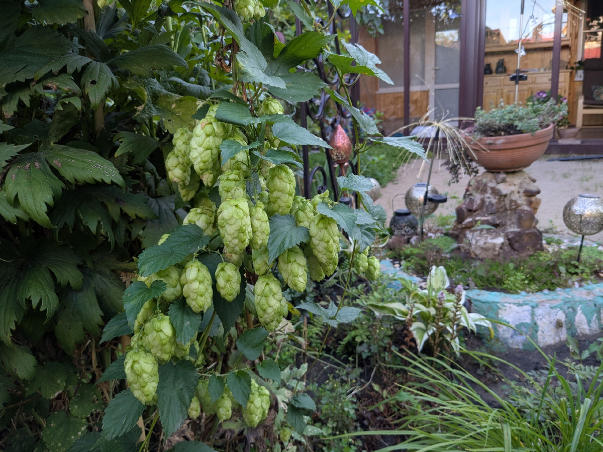 Безобразие, смотреть противно!
