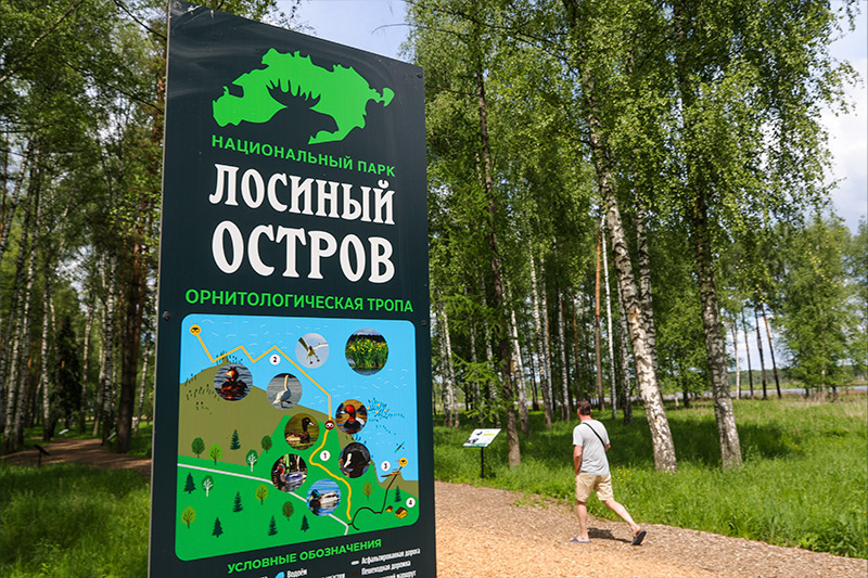    Наталья Шатохина/NEWS.ru