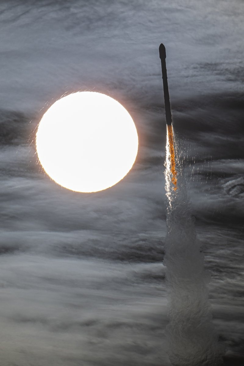 Фото SpaceX  📷
