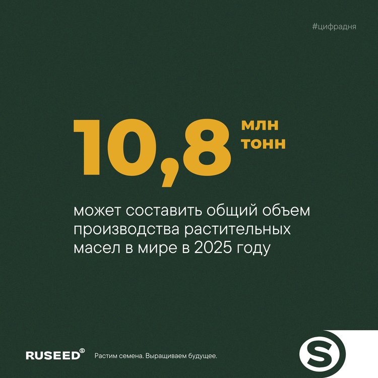     Прогноз цен и рентабельности на рынке переработки масличных культур в России на 2025 год (данные от 27.08.2025)
