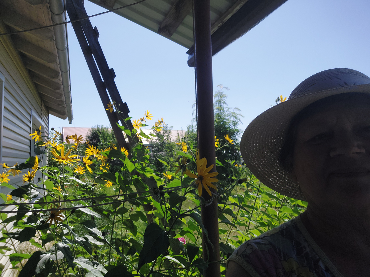 Вот такие у него яркие цветы и даже сами стебли нас не смущали, а создавали на крыльце такое затишье от ветра. Внучке нравились его цветы, дочке старшей тоже.