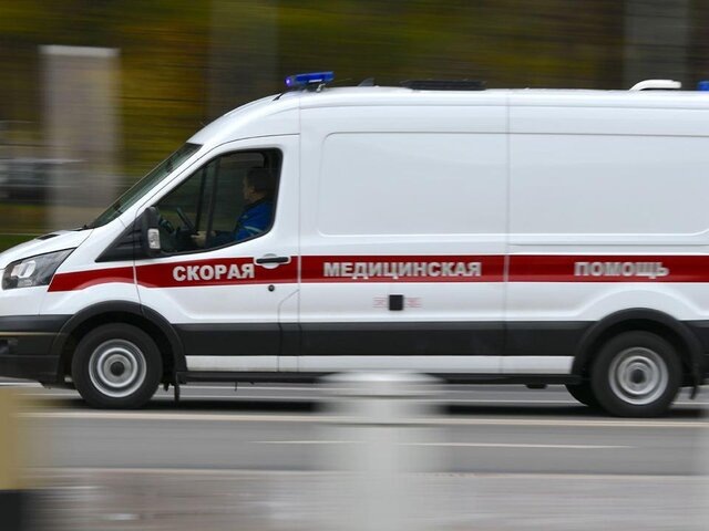    Фото: Москва 24/Антон Великжанин