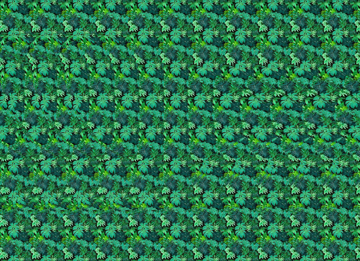 Птичка-невеличка