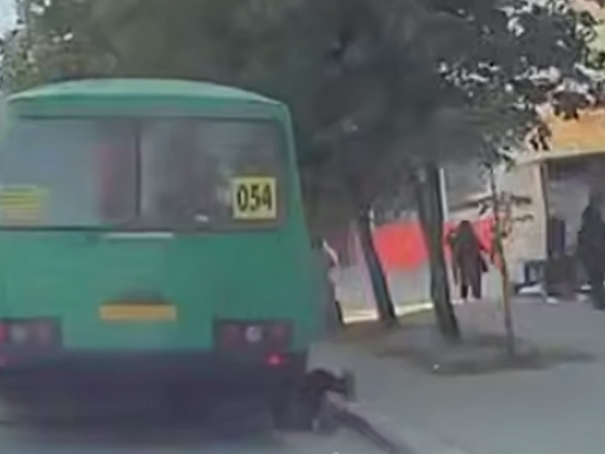     Кадр из видео: Е1