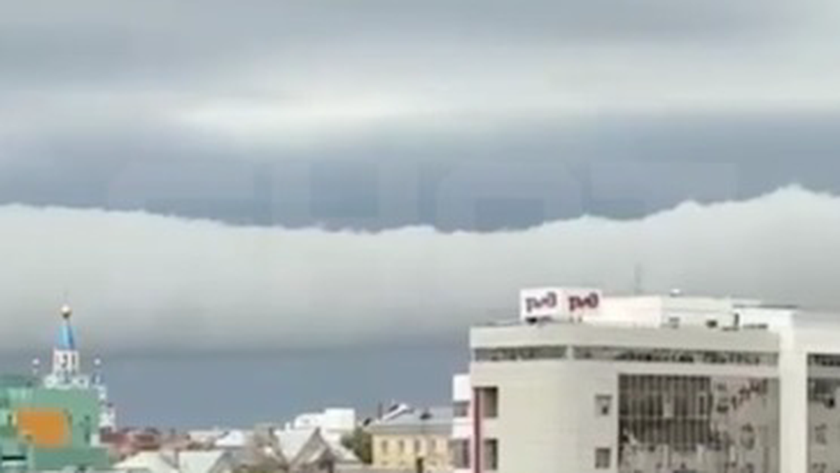    Фото: Telegram / Shot