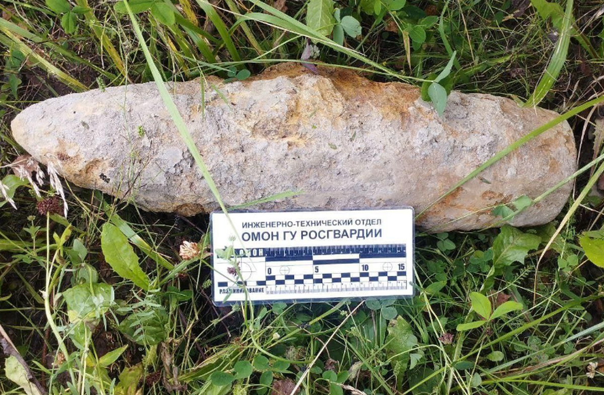    Фото: ГУ Росгвардии по Санкт-Петербургу и Ленинградской области, источник: t.me/rosgvard78