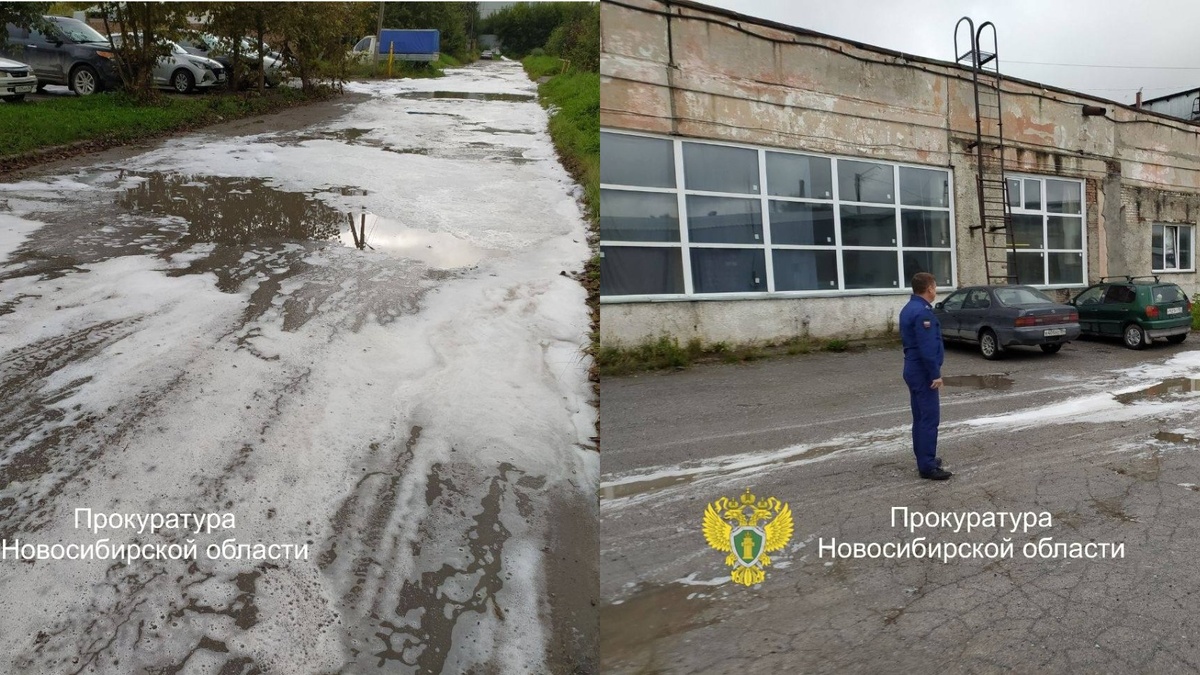    Фото: прокуратура НСО