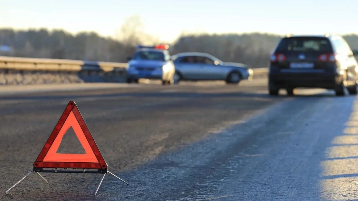    Фото: Matveychuk Anatoliy / Shutterstock / Fotodom