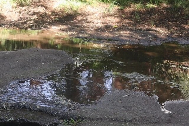    Из-за застоявшейся воды во дворе стоит неприятный запах. Фото: Общероссийский народный фронт в Пермском крае