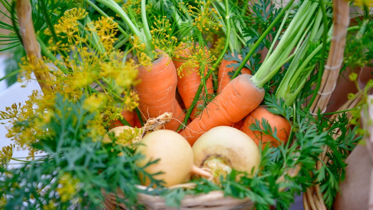    Фото: Андрей Ткачев / «Ямал-Медиа»