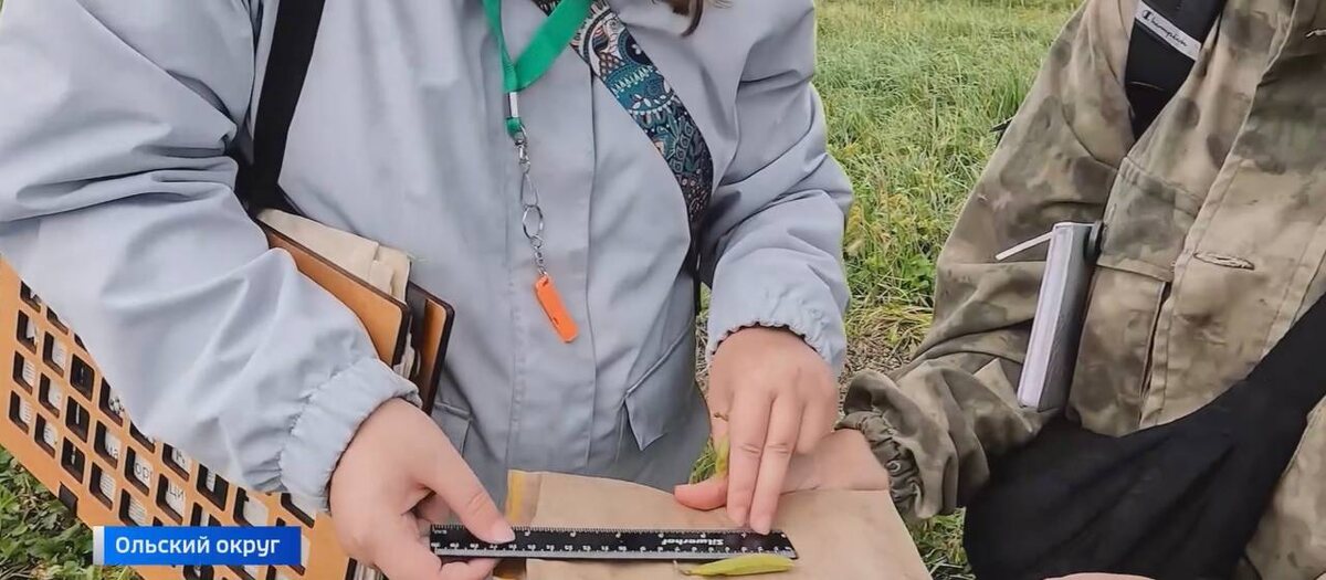   Фото: Ботаники из Санкт-Петербурга изучают колымские дикоросы /из материалов ГТРК «Магадан»