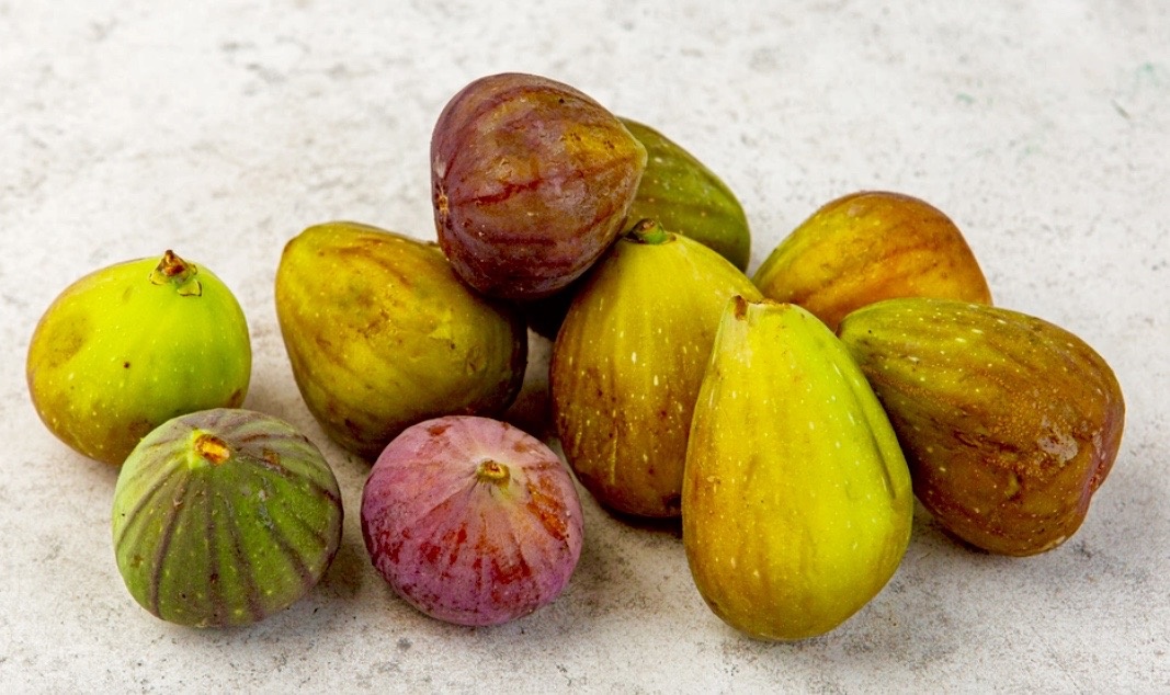 Разновидности сортов инжира. 