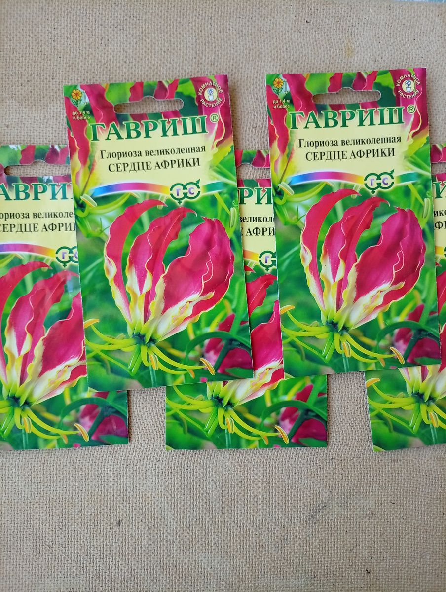 Вот так выглядят пачки семян. Я купила сразу 5 штук, сроки были не очень.