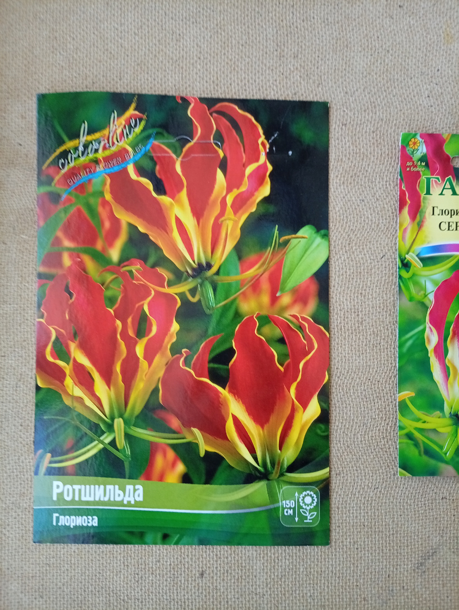 Вот такая красивая пачка, но корешок оказался плохим.