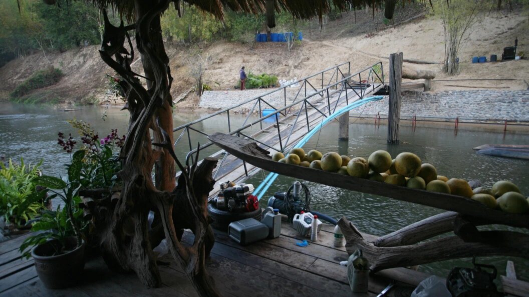    Фото: Natalya Loginova/Russian Look/Globallookpress