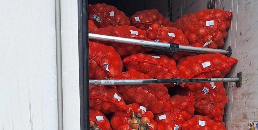 Казахстанские дыни и лук для жителей Свердловской области развернули на Южном Урале