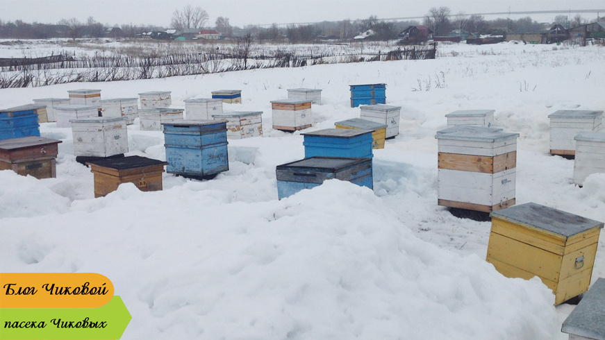 фото просто так...