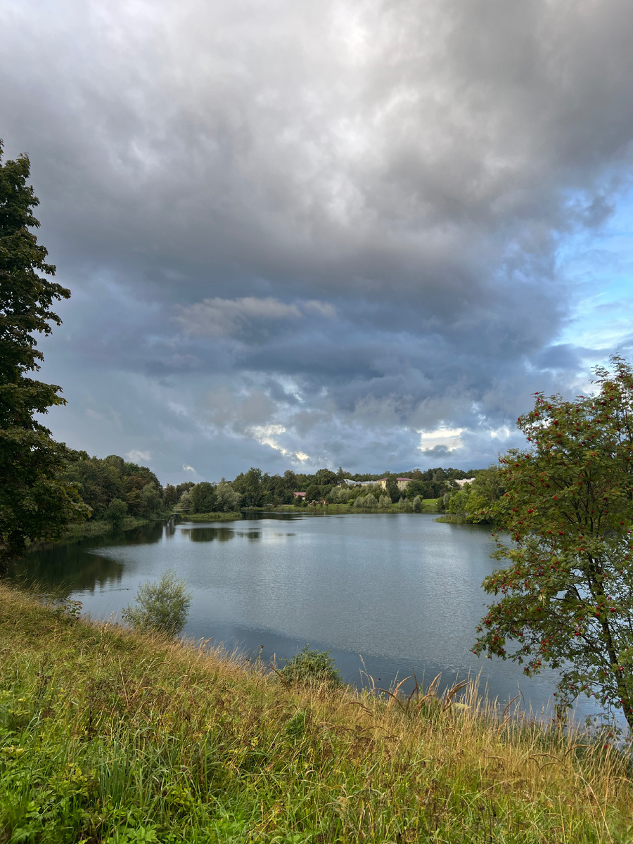 Пруд у Приоратского дворца  
