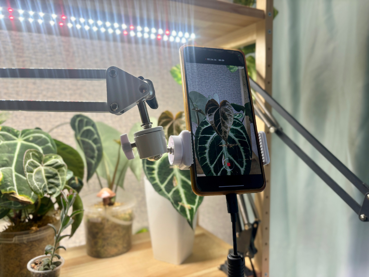 В ожидании чуда