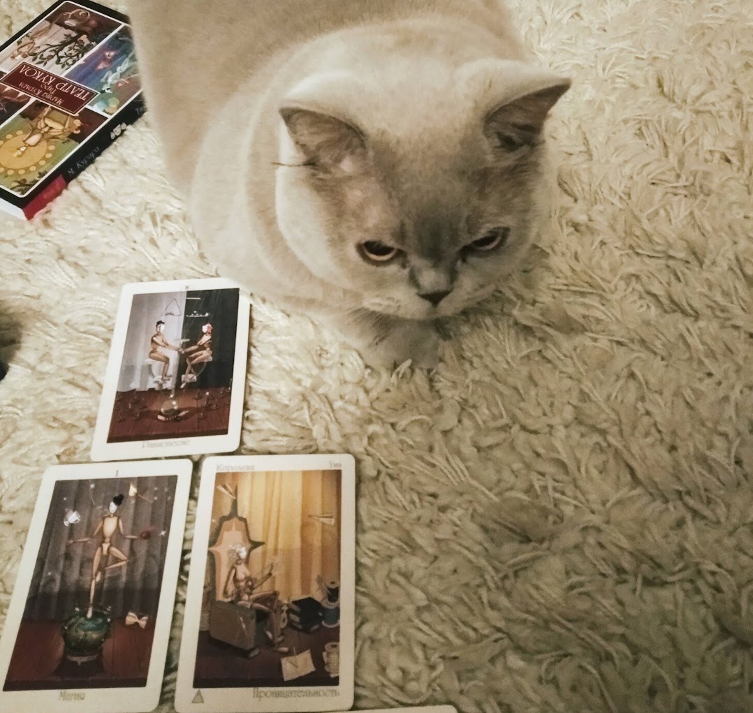 Фото автора.