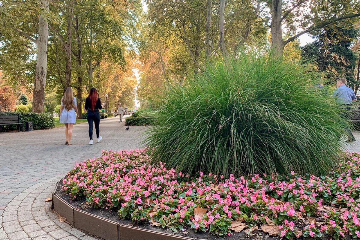    На курортах Краснодарского края стартовал бархатный сезон