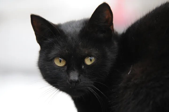    Фото: Александр Зинченко