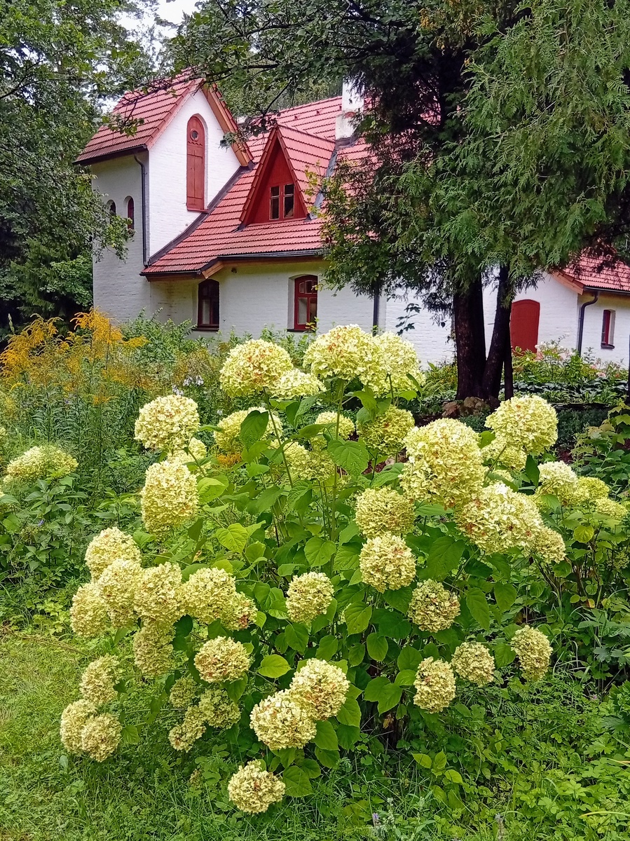 Аббатство. Фото из личного архива автора.