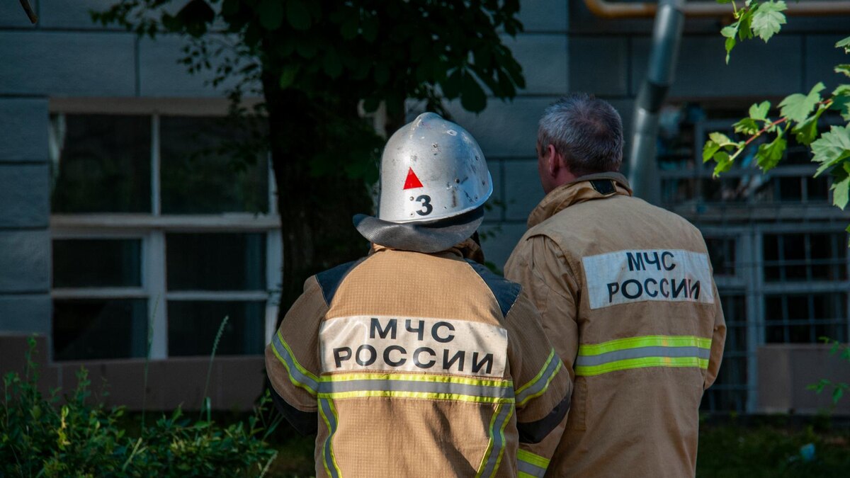    Фото: Svetlana Vozmilova/globallookpress.com