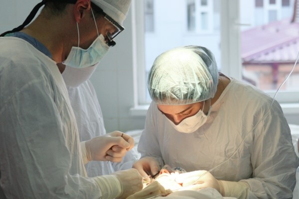 Фото: Саид Царнаев/РИА Новости