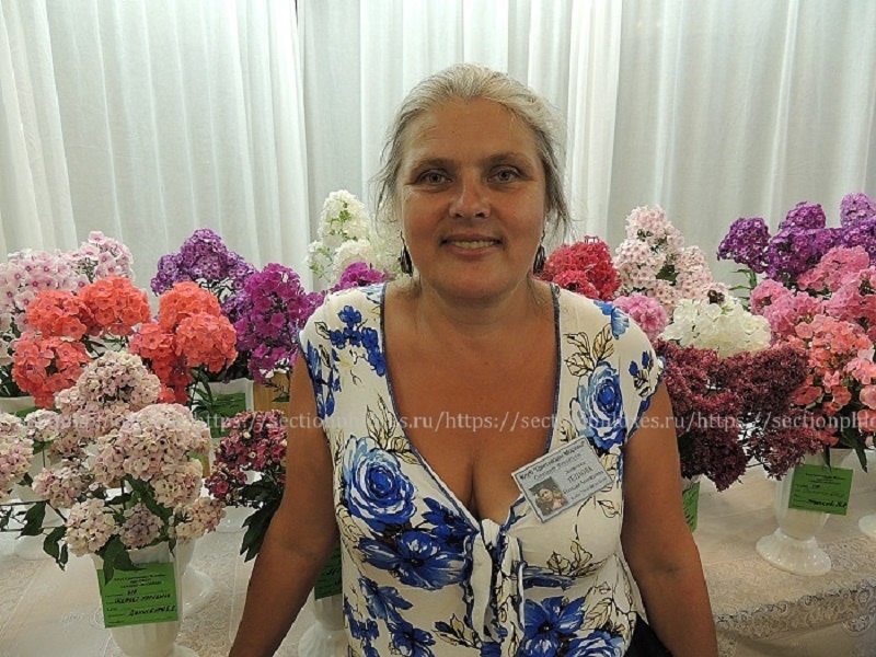 Наталья Леонидовна Теплова, коллекционер, селекционер, оригинатор сортов флокса метельчатого, член Секции «Флоксы»
