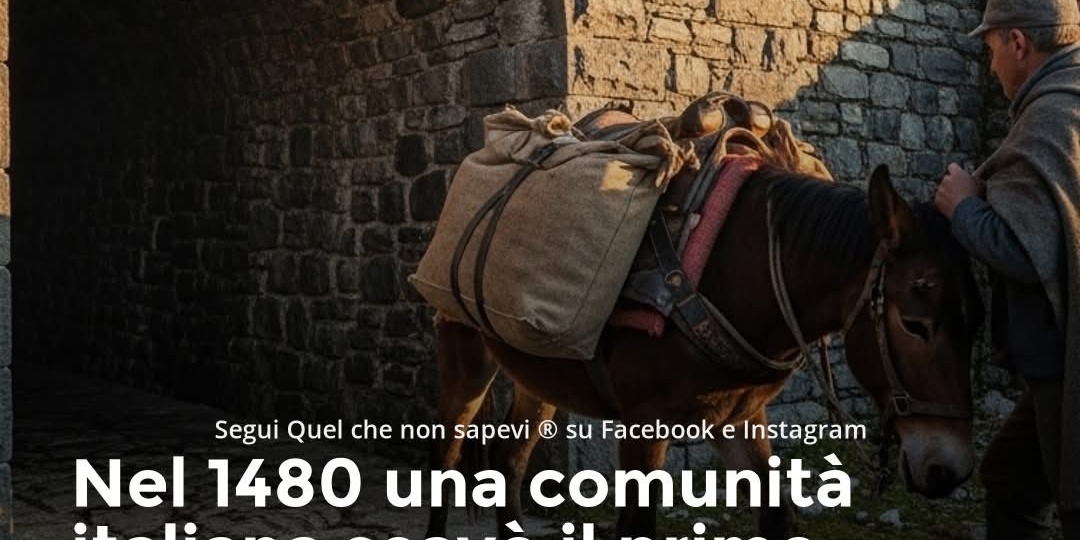 Оптимизация налогообложения может быть и такой