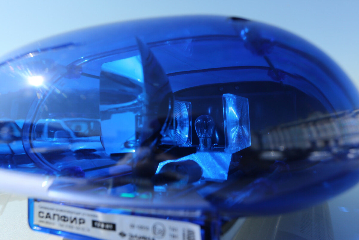 Фото: Дмитрий Фуфаев/«Петербургский дневник»