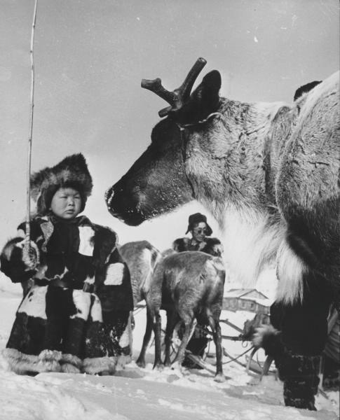 Маленький Андрюшка. Юрий Муравин, 29 марта 1962 года, Корякский нац. округ, Тигильский р-н, колхоз им. С. М. Кирова, МАММ/МДФ.
