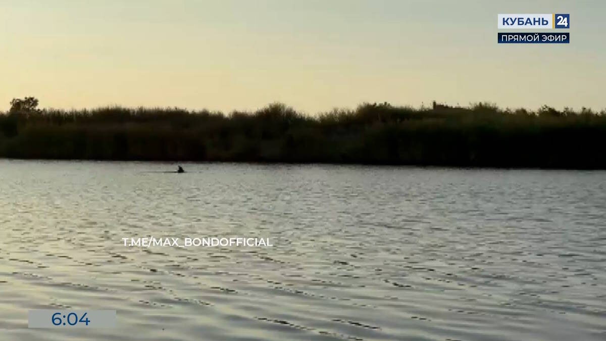    Видео канала «Кубань 24»