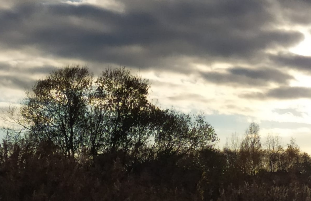    Вильфанд предупредил об опасной погоде в России: в начале сентября регионы ждут аномалии