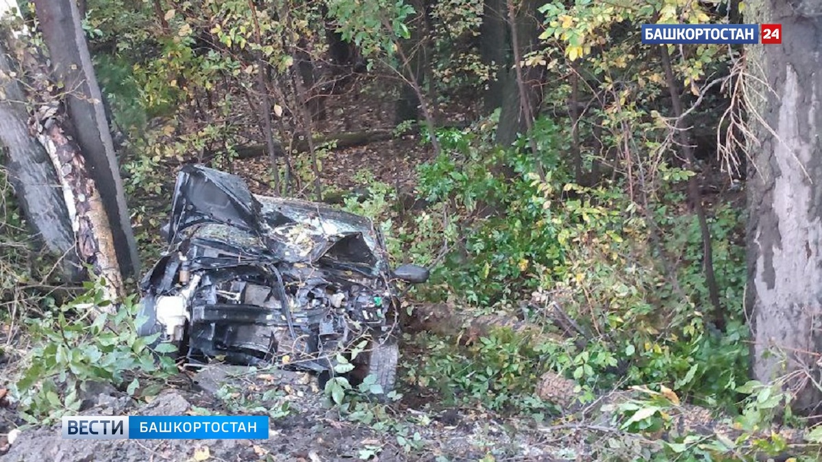    Дерево упало на съехавшую в кювет машину в Уфе: водителя зажало в салоне