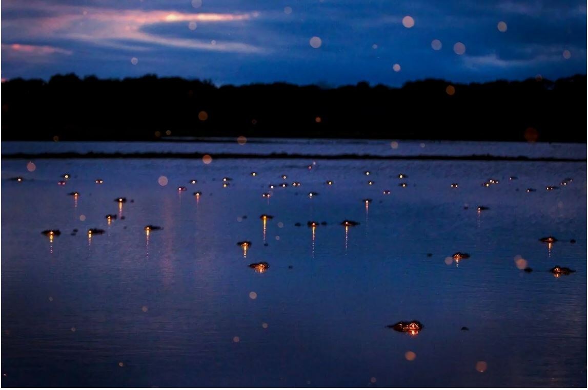 Блуждающие огни