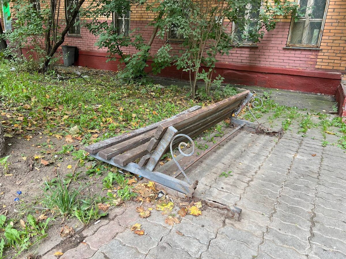 Фото автора.
