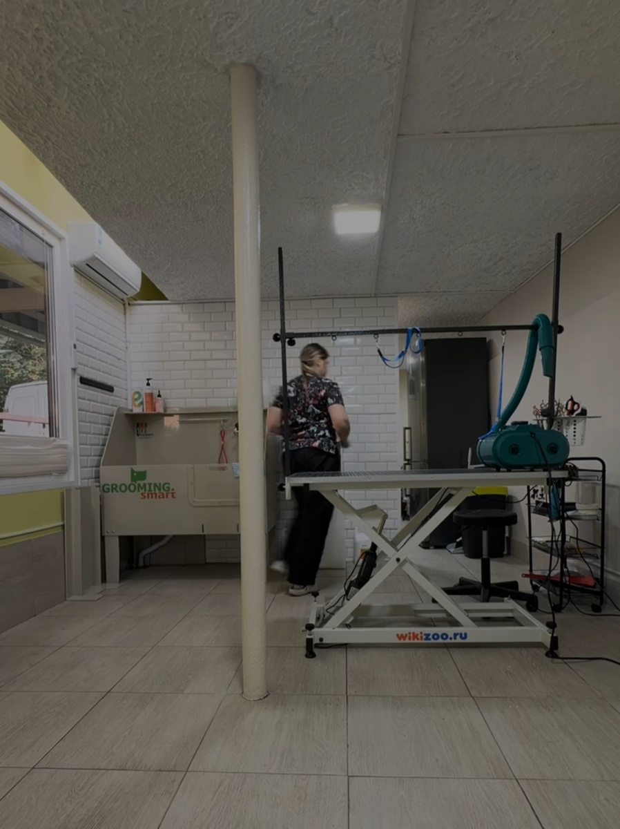 Мое дело живет под моим фирменным названием @груминг... и кошки тоже. Мне не жалко, мне гордо! 