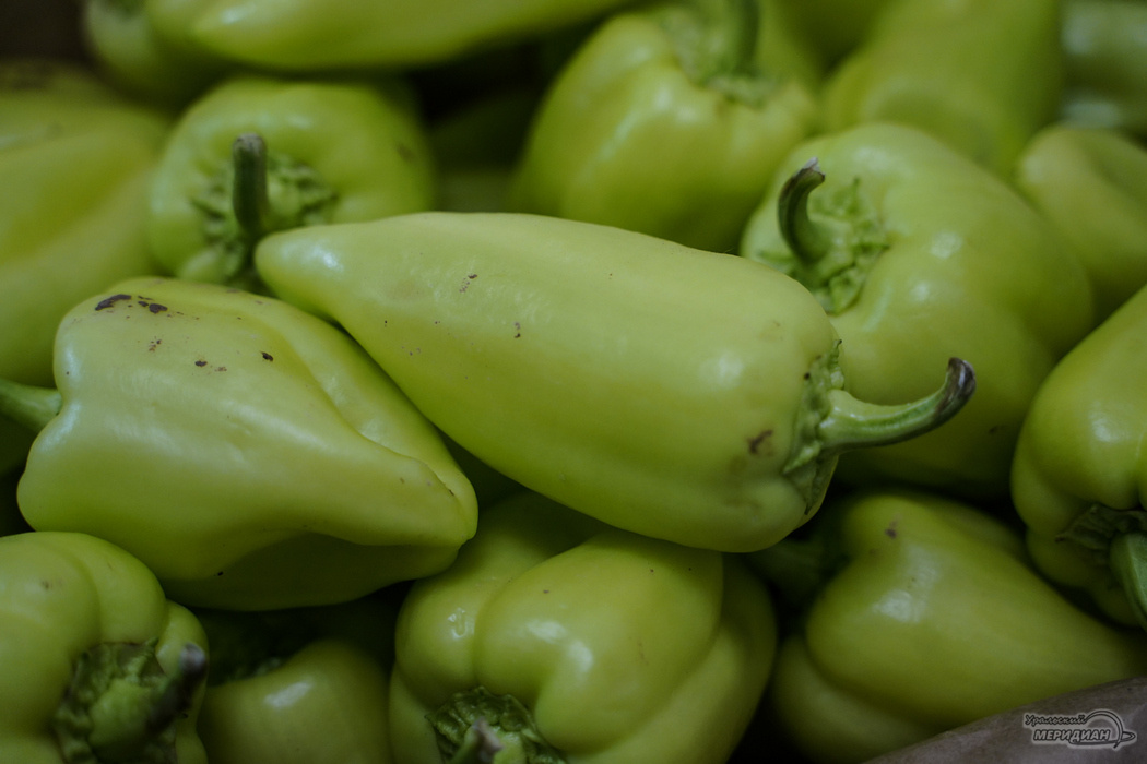    Фото: Лидия Аникина © ИА «Уральский меридиан»