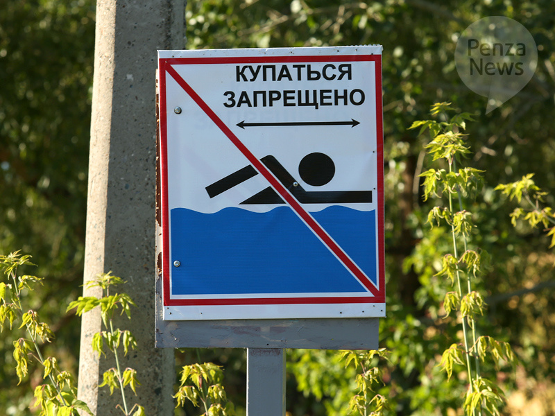    © Фото из архива ИА «PenzaNews»