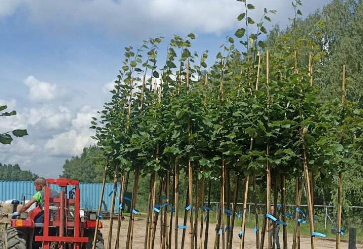    Фото - ТГ-канал Максима Кудрявцева