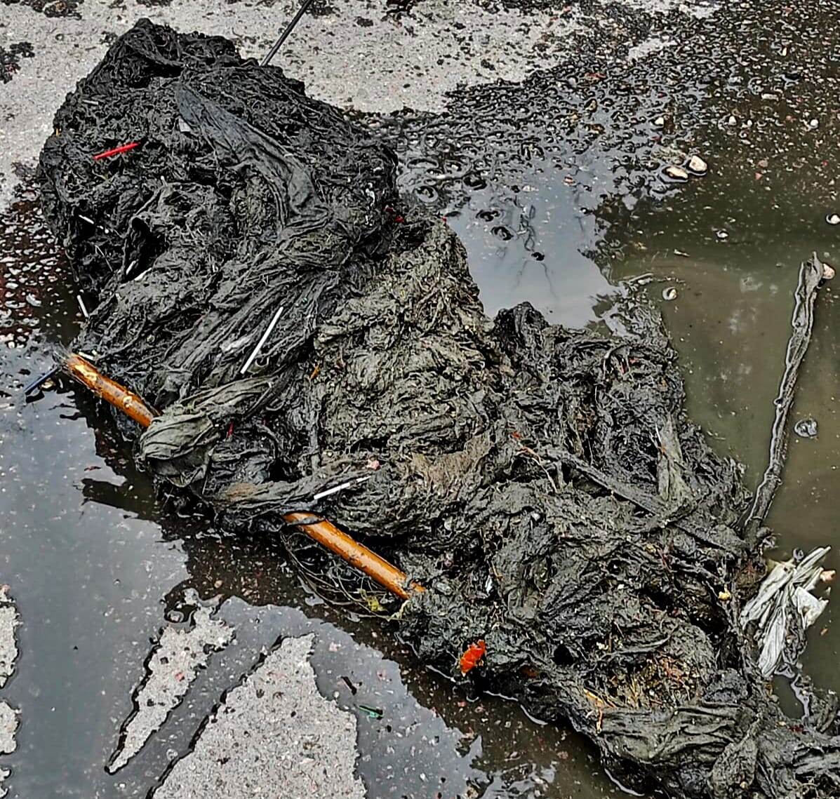 Источник: тг-канала "РВК-Воронеж"