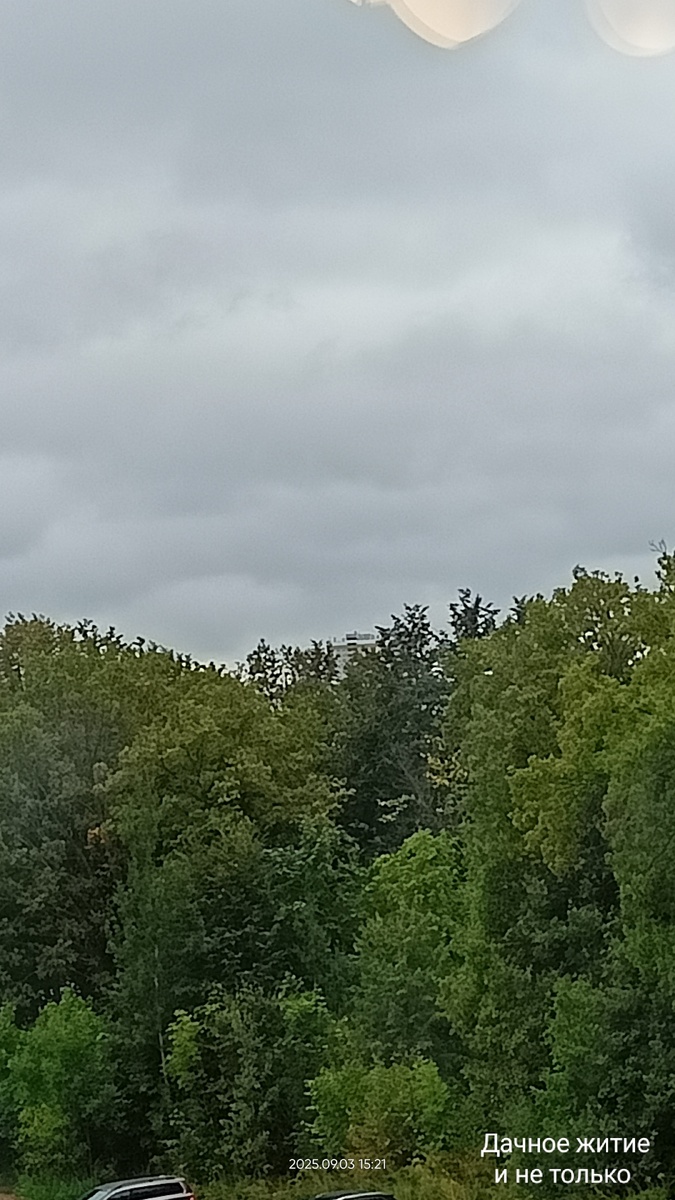 Мрачновато