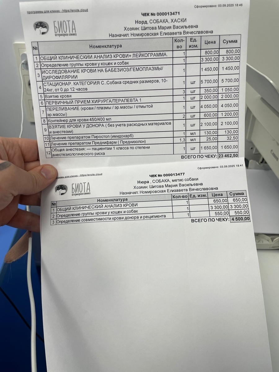 Документы об оплате вет услуг и переливния крови для Норда в "Биоте"