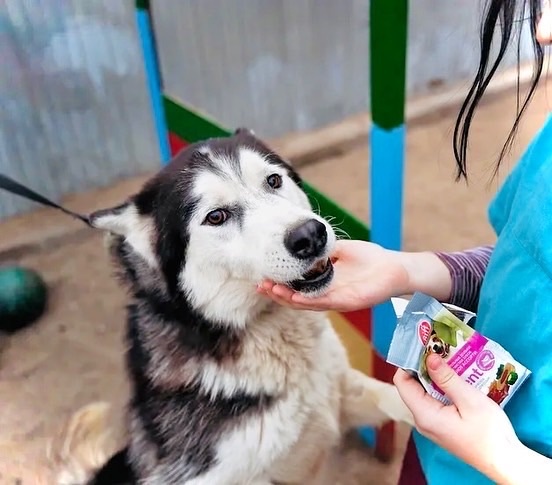 Фото Норда разных лет. Бесконечно надеемся на вашу помощь...