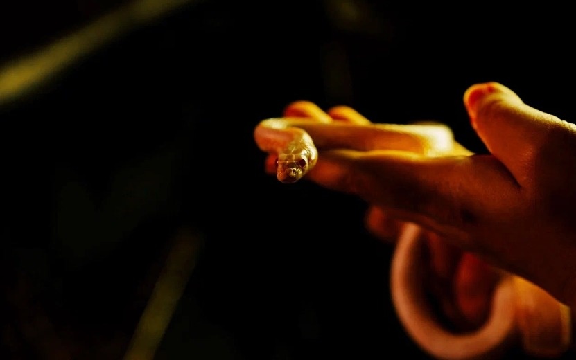    Самоанализ и творческая энергия: какие знаки по гороскопу на 5 сентября смогут укрепить авторитет?